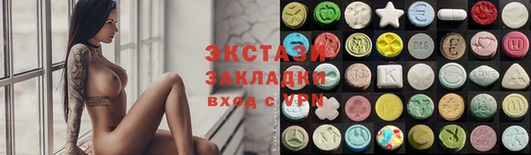 хмурый Аркадак