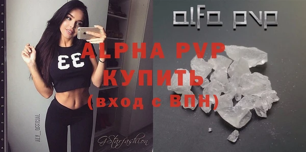 хмурый Аркадак