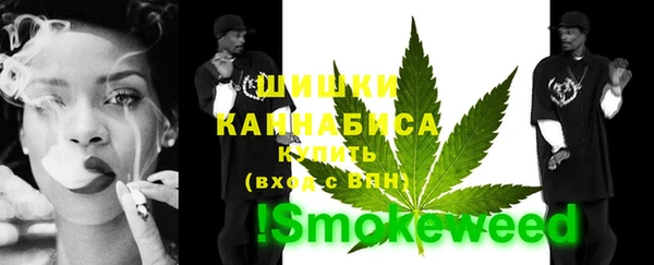 хмурый Аркадак