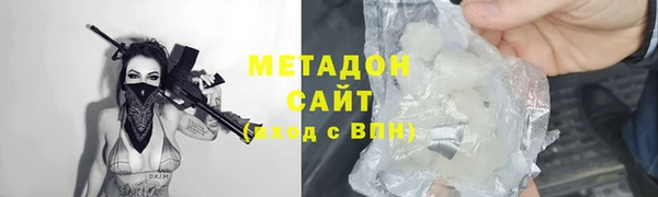хмурый Аркадак