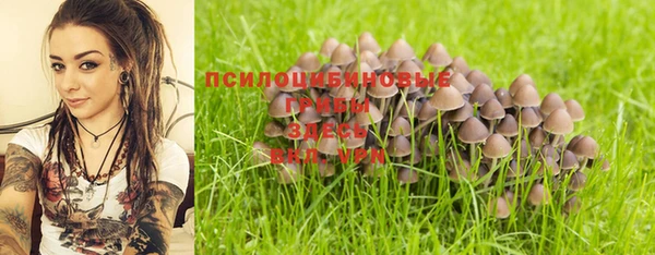 mdpv Арсеньев