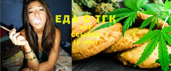 хмурый Аркадак