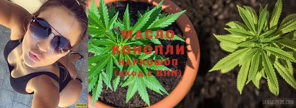 хмурый Аркадак