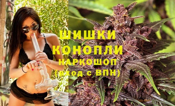 хмурый Аркадак