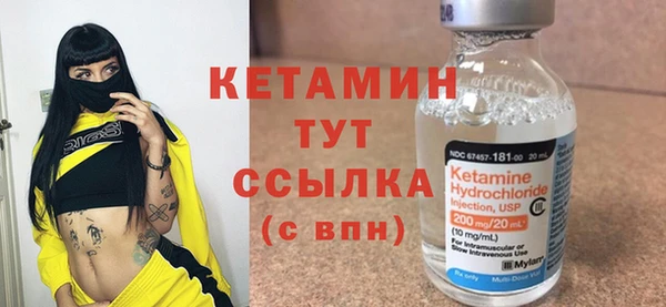 хмурый Аркадак