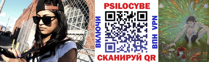 Псилоцибиновые грибы Cubensis  Хотьково 